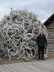 Random antler pile. Old Cody Townsite - Cody, Wyoming