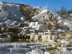 Mammoth Hot Springs - Palette Springs