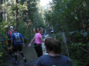 And the fun finally begins!