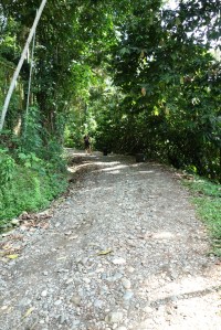 Jen on the loooong road to our Puerto Viejo hotel